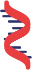 logo ARN